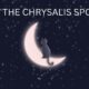 cat in the chrysalis spoilers