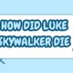 how did luke skywalker die