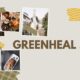 greenheal.net