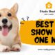 best in show for one nyt